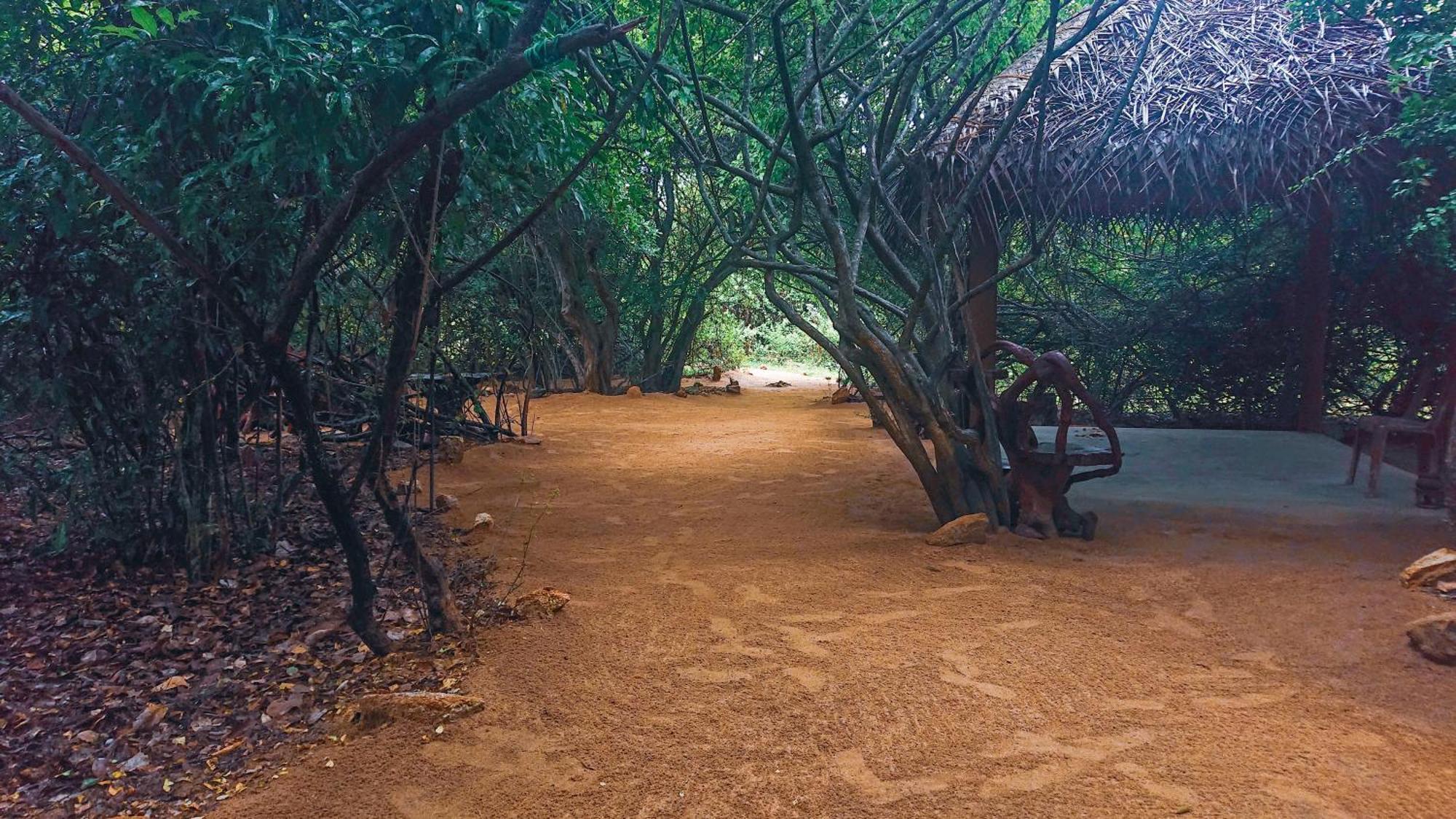 Hotel Yala Podi Hoona Bush Camp Exterior foto