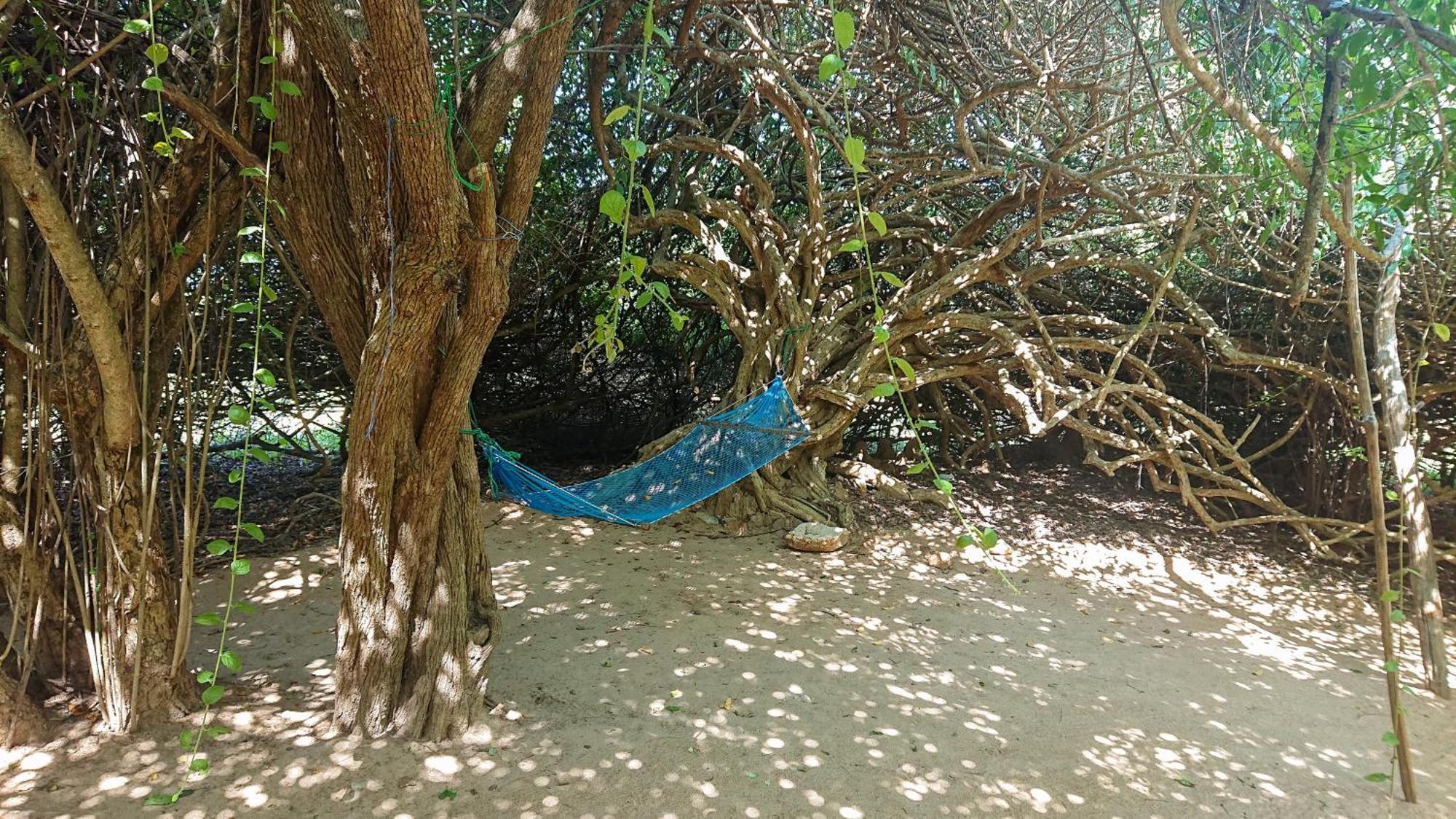 Hotel Yala Podi Hoona Bush Camp Exterior foto