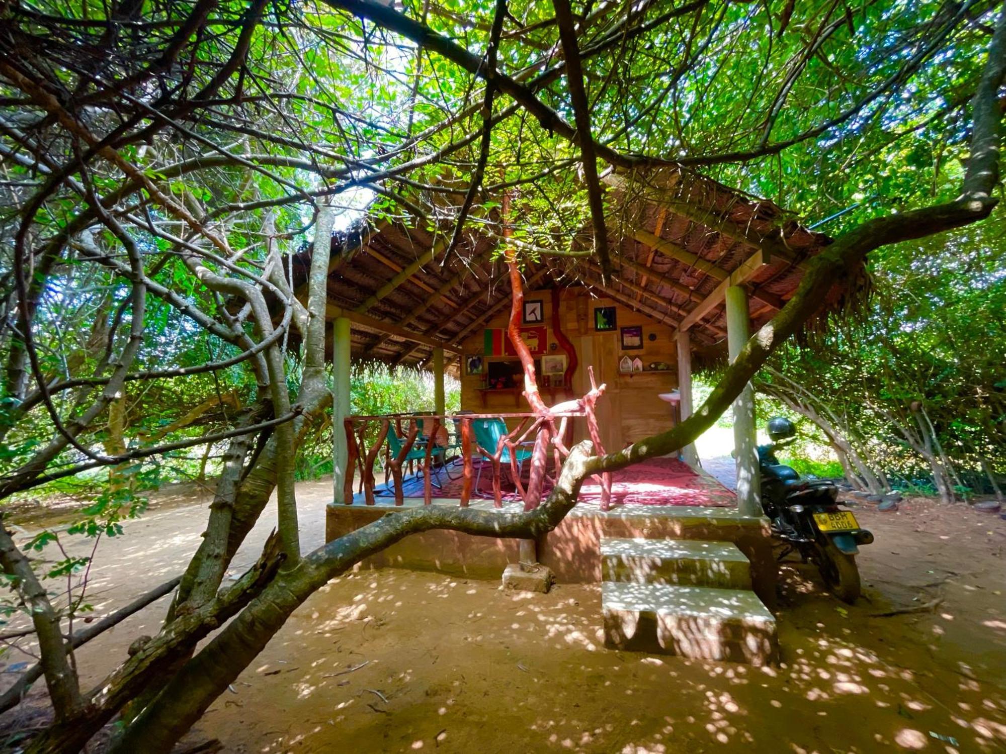 Hotel Yala Podi Hoona Bush Camp Exterior foto